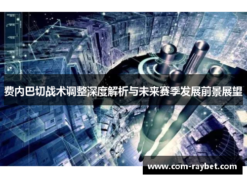 费内巴切战术调整深度解析与未来赛季发展前景展望