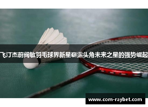 飞汀杰蔚阀敏羽毛球界新星崭露头角未来之星的强势崛起