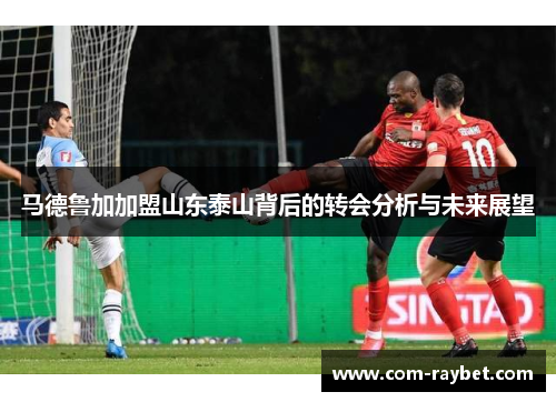 马德鲁加加盟山东泰山背后的转会分析与未来展望