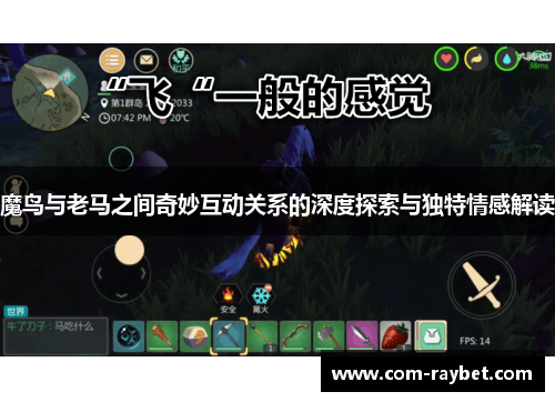 魔鸟与老马之间奇妙互动关系的深度探索与独特情感解读