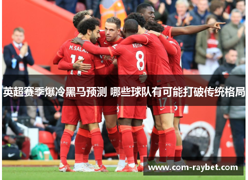 英超赛季爆冷黑马预测 哪些球队有可能打破传统格局